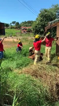 Bombeiros resgatam cavalo caiu dentro de buraco em Alto Piquiri