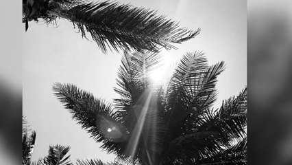 "Villa der Verflossenen": Vibrator-Unfall sorgt für heftigen Eklat