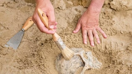 Guerre Ukraine : suspectées d'être utilisées, pourquoi les mines antipersonnel sont-elles interdites ?