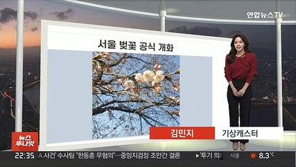 [생활날씨] 서울 벚꽃 공식 개화…내일도 완연한 봄날씨