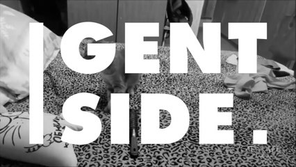 Synesthesia: This sensory disorder allows you to 'see' sounds