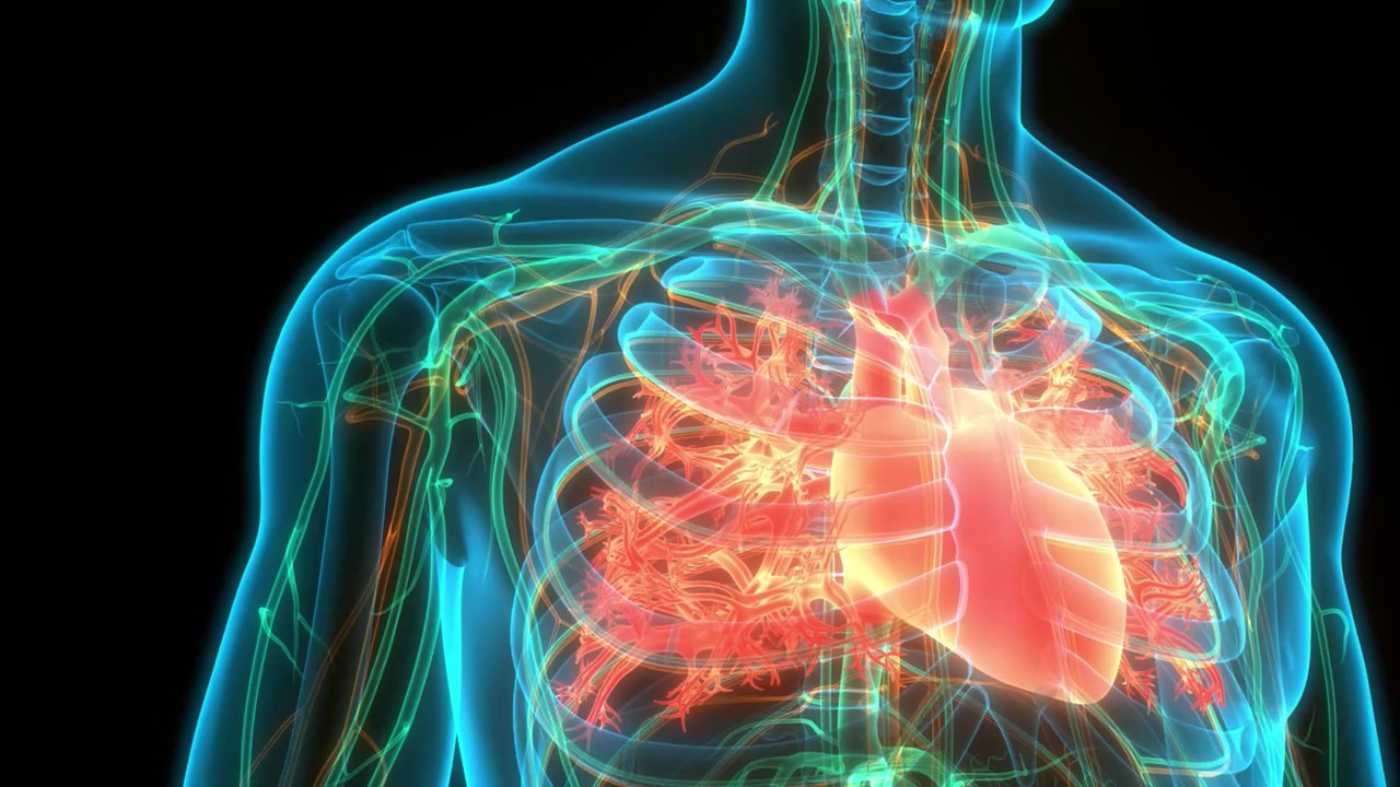 Heart health: What happens when you eat too much butter?