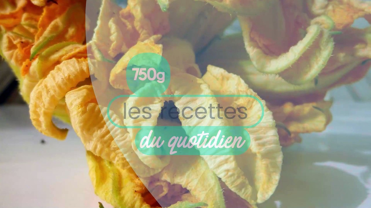 Petites galettes de fleurs de courgettes