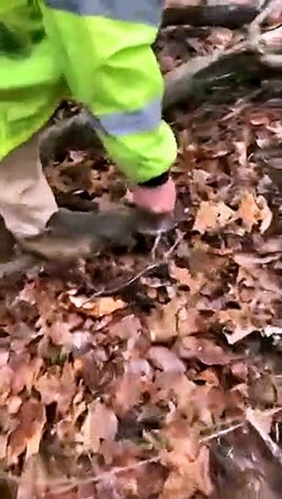 Squirrel Bites Man's Pant Let and Won't Let Go