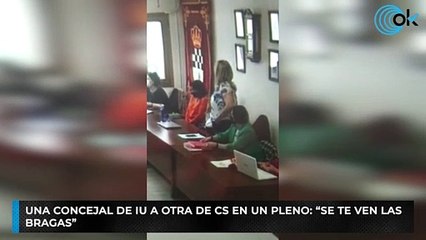 Una concejal de IU a otra de Cs en un pleno: "Se te ven las bragas"