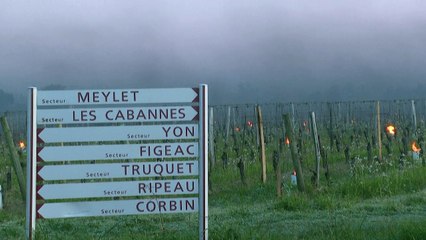 فيديو: الصقيع وتدني درجات الحرارة كما لم يحصل منذ 1947 يهددان محاصيل فرنسا