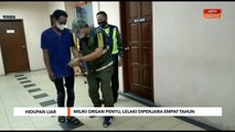 Hidupan Liar | Miliki organ penyu, lelaki dipenjara empat tahun