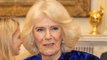 Camilla, Duchess of Cornwall thinks parents need to teach children to read at a young age