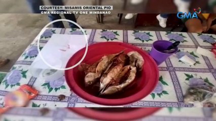 2 sachet ng hinihinalang shabu na tinangkang ipasok sa kulungan, itinago sa bituka ng isda | Saksi