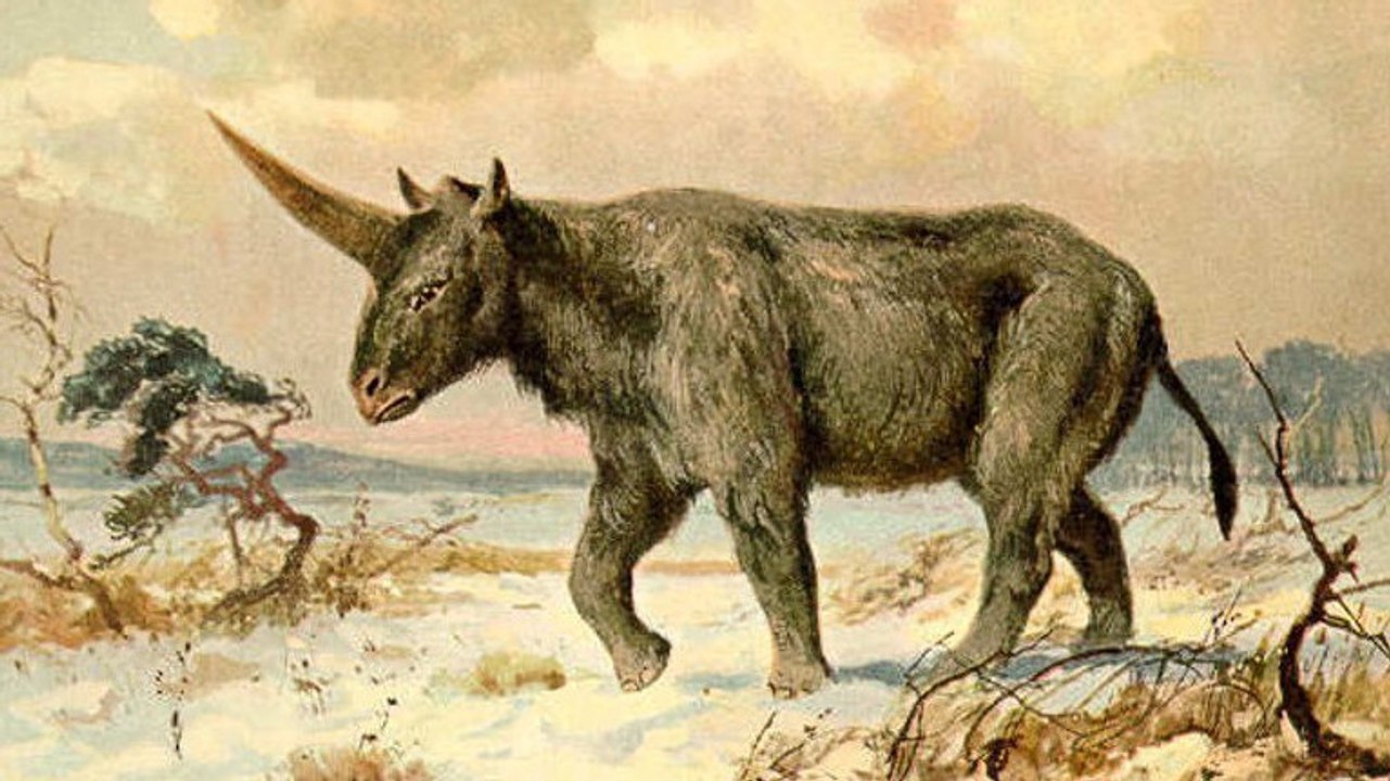 Sibirisches Einhorn: Forscher bestätigen, dass Einhörner existiert haben und mit Menschen lebten