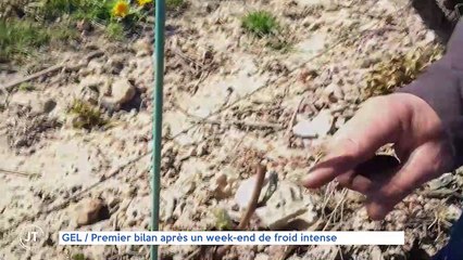 GEL / Premier bilan après une week-end de froid intense