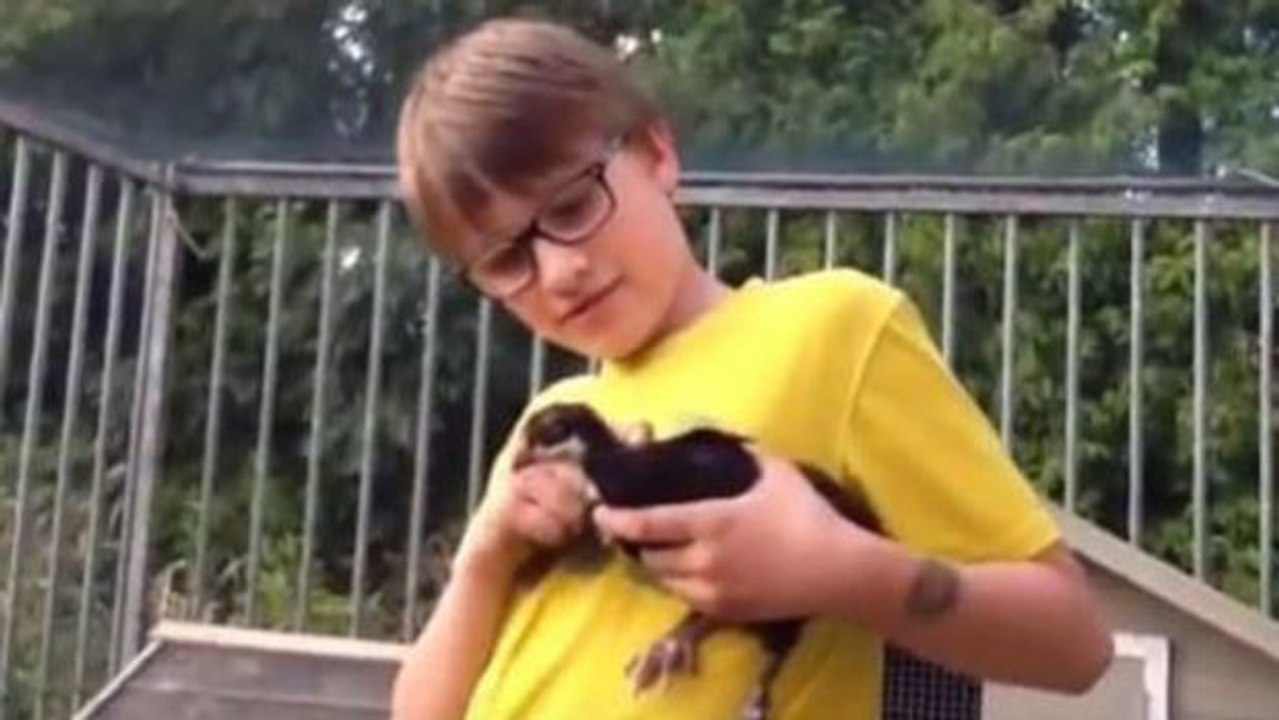 Der zwölfjährige Téo ist Youtuber und zieht Hühner auf... Ein lokaler Radiosender machte ihn zum Star!