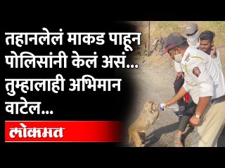 तहानलेलं माकड पाहून पोलिसांनी केलं असं तुम्हालाही अभिमान वाटेल |Traffic Police Feed Water to Monkey