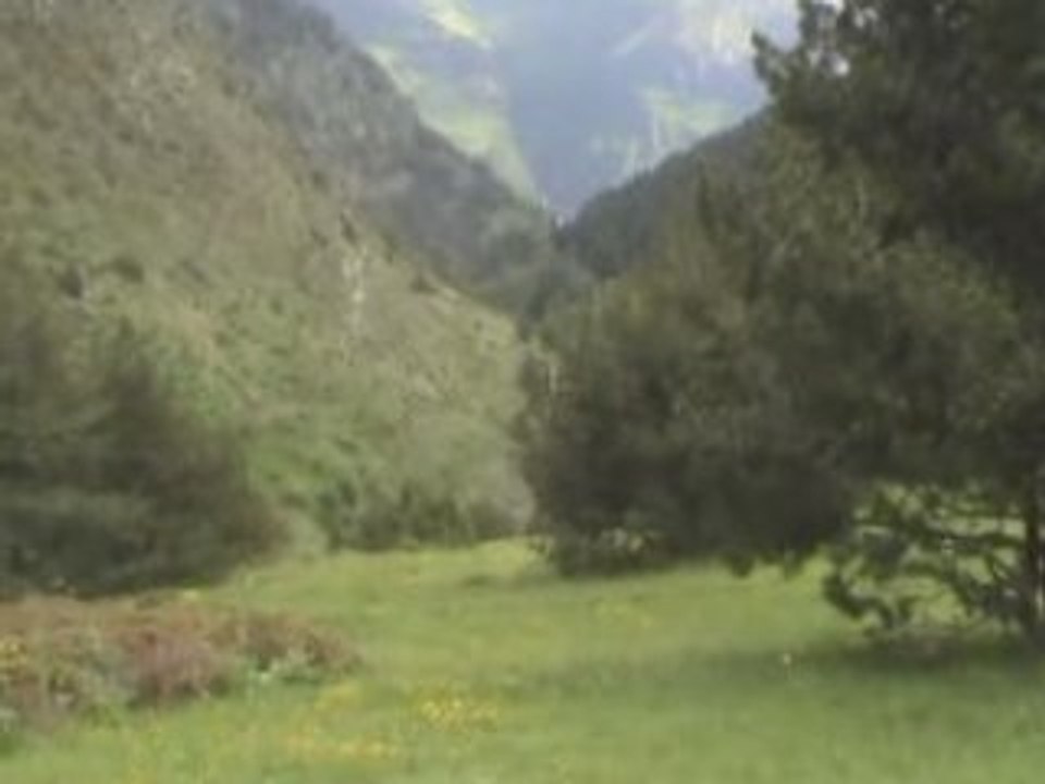 OS DE CIVIS -  Arrivée