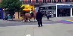 Los caballos de la policía detectan los chiringuitos...