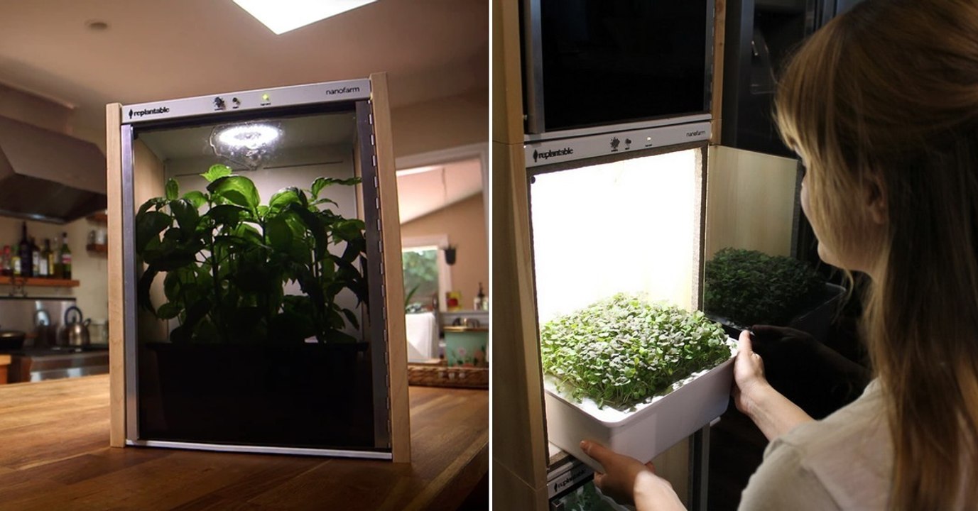 Nanofarm: Eine neue Mini-Gewächshaus-Generation für Zuhause