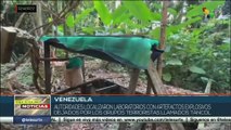 teleSUR Noticias 15:30 04-04: Transportistas peruanos inician huelga