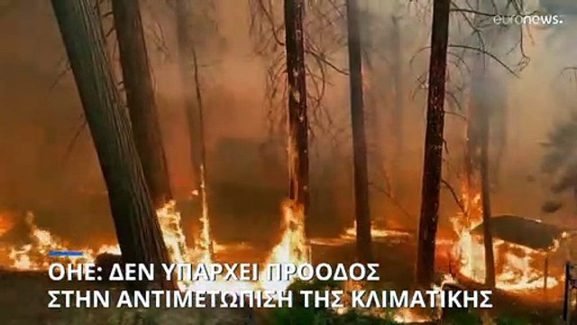 ΟΗΕ: Σήμα κινδύνου για την κλιματική αλλαγή