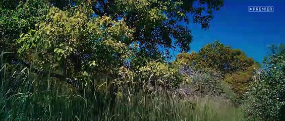 Здравствуйте, вам пора - 2 серия