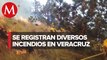 En Veracruz se registraron 11 incendios forestales