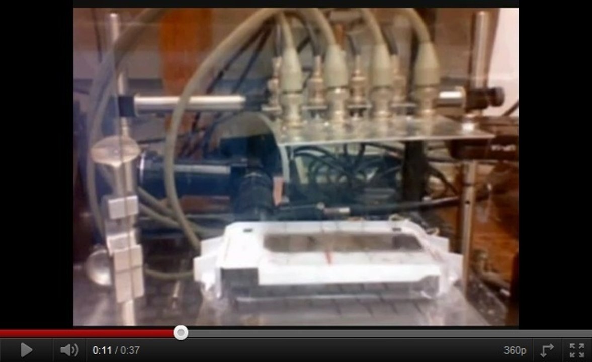 Un tapis magique fait de plastique et capable de voler