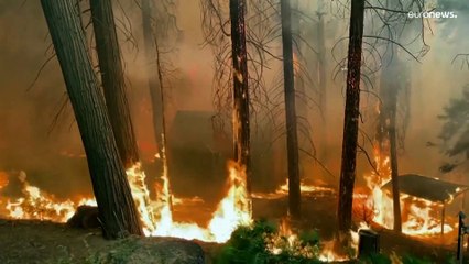 Доклад ООН по климату: надежда есть, но спасение стоит дорого