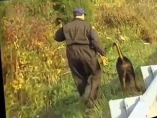 Forensic Files S03 E09