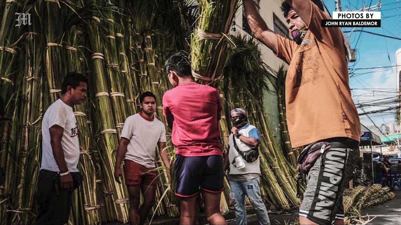For Palm Sunday