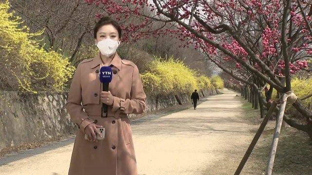 [날씨] 내일 '한식', 맑고 포근하지만 '건조특보'... 중서부 초미세먼지↑ / YTN