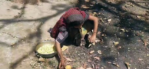 महुए के पेड़ों पर परम्परागत हक, फल और फूल से आय