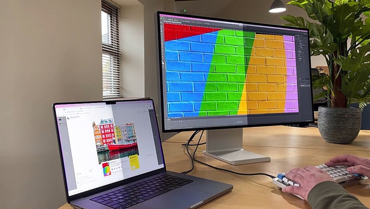 Présentation de Vivid