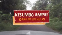 KOMPLEK RUMAH ADAT SUKU SAKAI