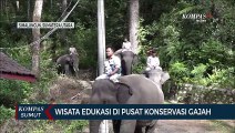 Pusat Konservasi Gajah Aek Nauli Diminati Wisatawan yang Hendak ke Danau Toba