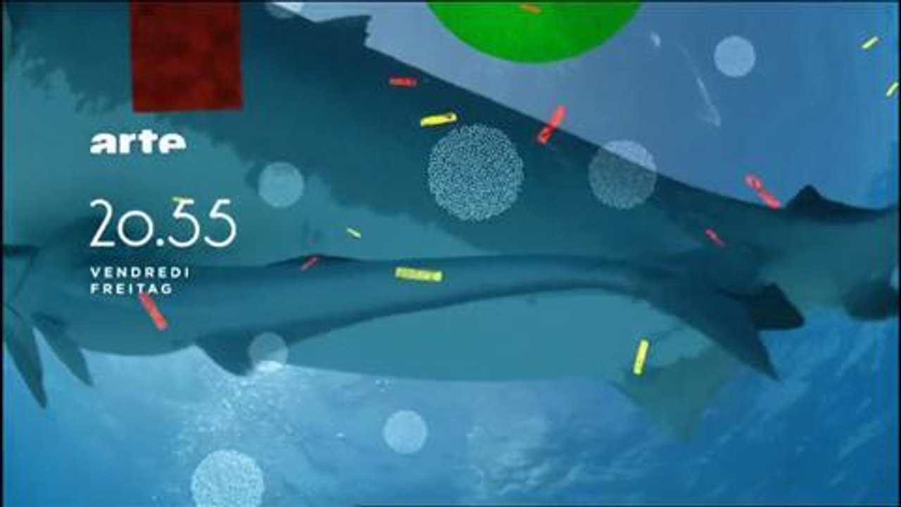 Bande-annonce - Dans le sillage des requins (Arte) Vendredi 1er janvier