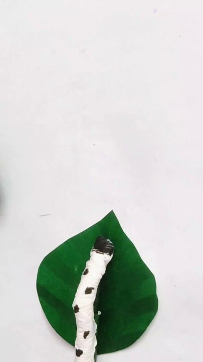 Leaf eating Worm for kids