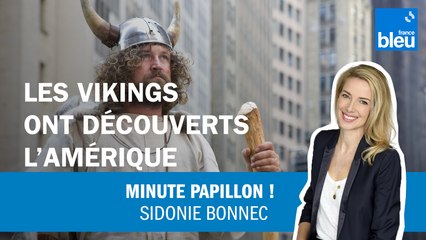 Les Vikings ont découvert l'Amérique