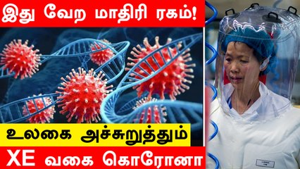 XE வகை  Coronavirus எவ்வளவு ஆபத்தானது? அறிகுறிகள் என்ன?