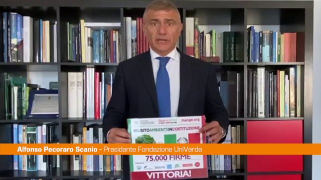 Ambiente in Costituzione, Pecoraro Scanio Italia modello per Lancet