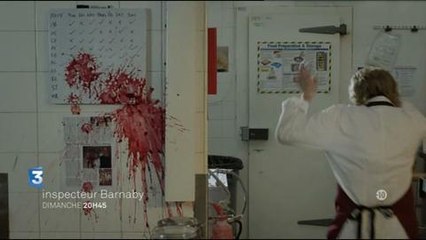 Inspecteur Barnaby (France 3) 20 avril
