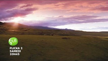 Flicka 2 (Gulli) 17 janvier