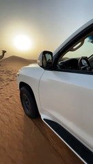 Desert safari Dubai tour, Dubai tour adventiure