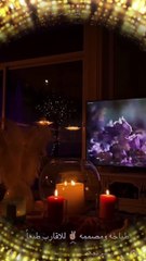 كيف تحولت حياة نجلاء عبد العزيز من الفقر للثراء الفاحش؟