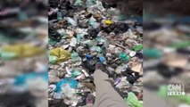 Manavgat nehir ağzı çöple doldu