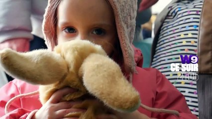 La bande-annonce de "On chante pour l'Ukraine" sur W9