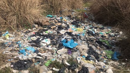 Kuş cennetine çöp döktüğü iddia edilen otele soruşturma