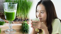 खाली पेट Wheat Grass Juice पीने से क्या होता है | व्हीट ग्रास जूस पीने के फायदे | Boldsky