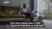 Many Dog Owners Think Taking Care of Their Pets is More Important Than Taking Care of Their Kids