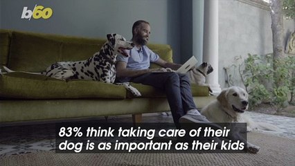 Many Dog Owners Think Taking Care of Their Pets is More Important Than Taking Care of Their Kids