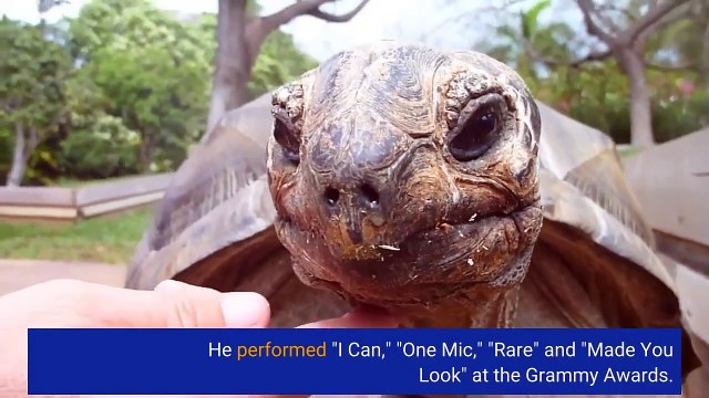 Nas Offers a Career Spanning Medley at 2022 Grammys