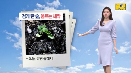 [날씨]다시 건조특보…서해안 짙은 안개